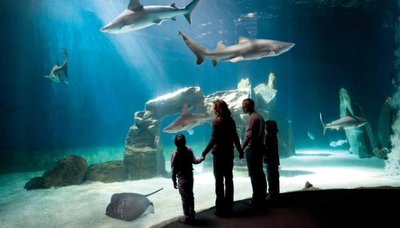 Posti belli da vedere assolutamente a Genova L’acquario di Genova