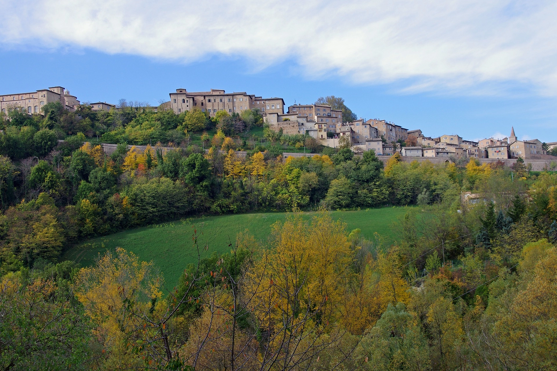 Urbino