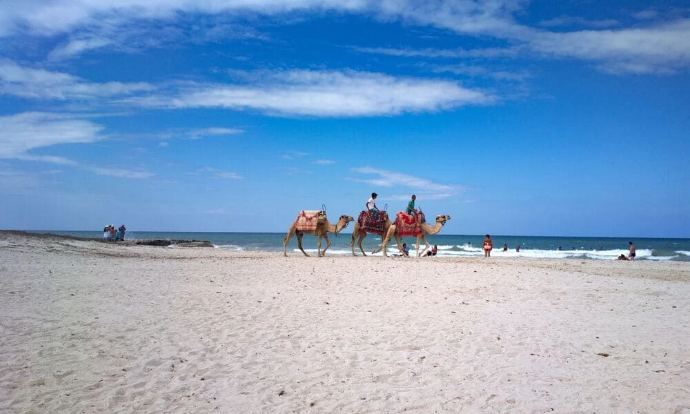 Odissea, un viaggio a tappe: Djerba, la terra dei Lotofagi