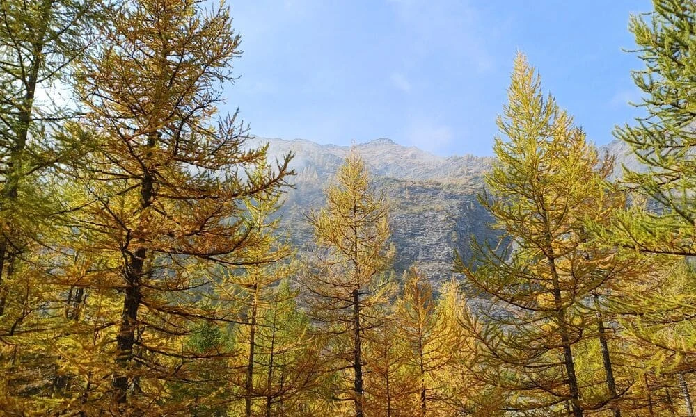 Autunno in Italia